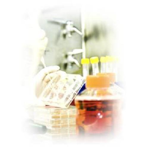 Acryl copolymer (UV)