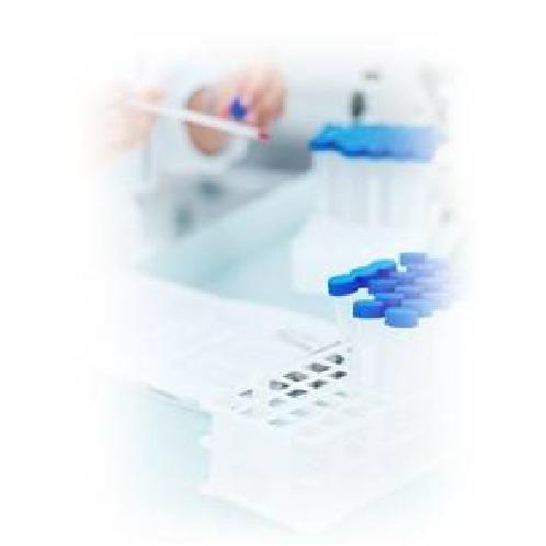 Acryl Copolymer (Binder)